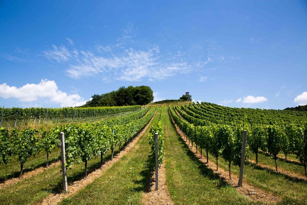 Weingut-Gaestezimmer Uhl Ratsch an der Weinstrasse Exterior photo